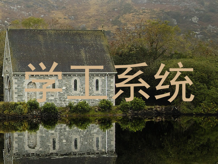 学工系统