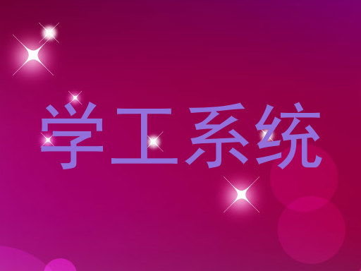 学工系统