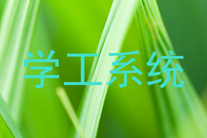 学工系统