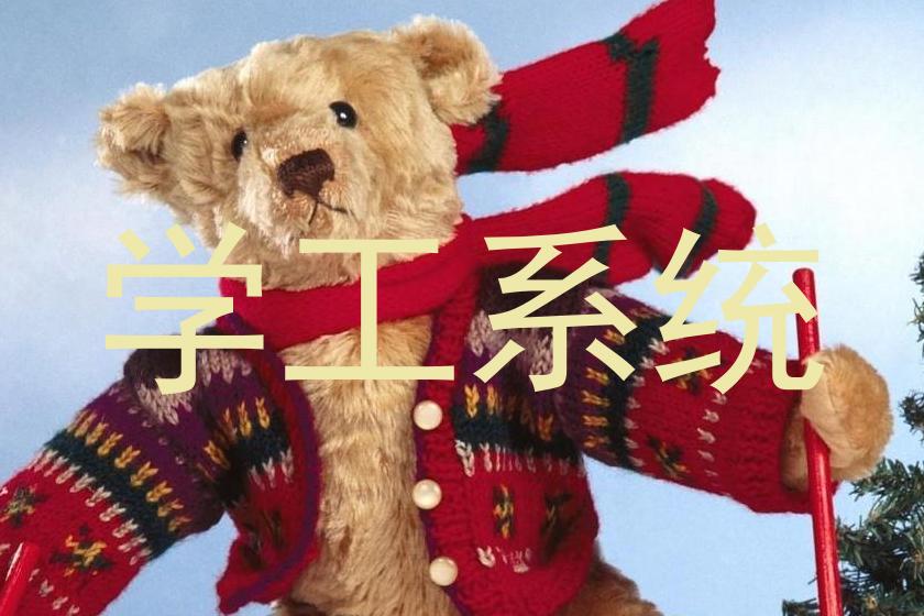学工系统