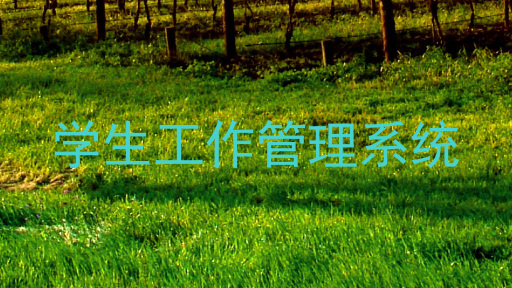 学生工作管理系统
