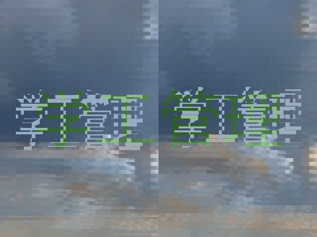 学工管理