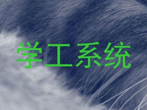学工系统