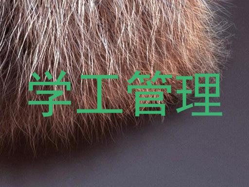 学工管理