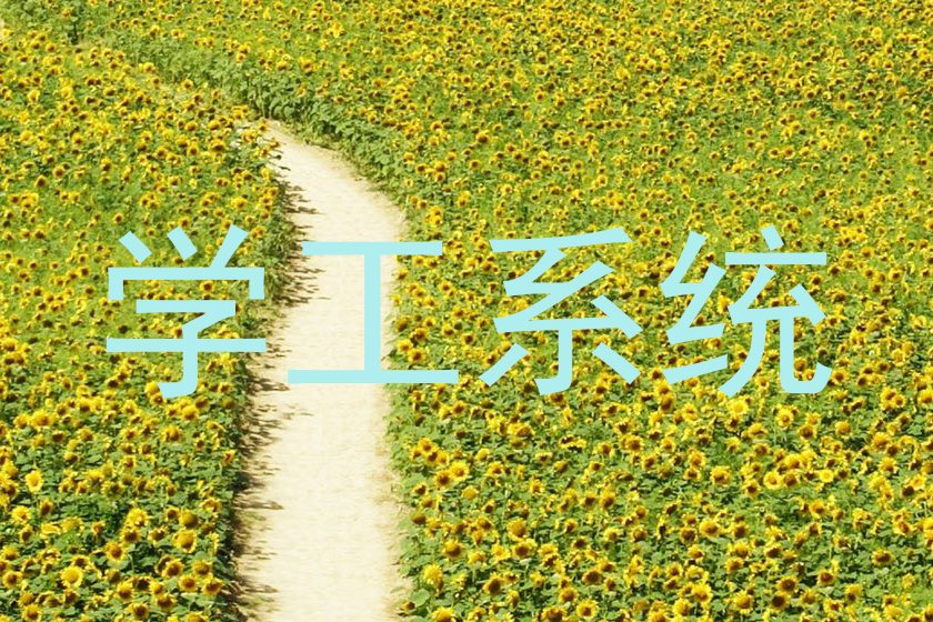 学工系统