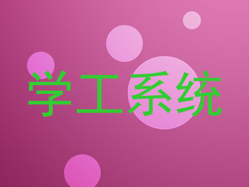 学工系统