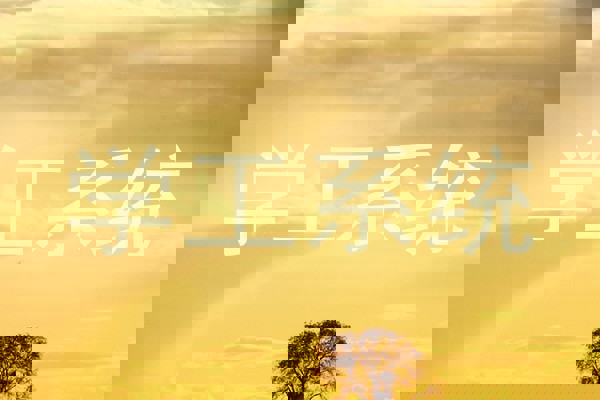学工系统