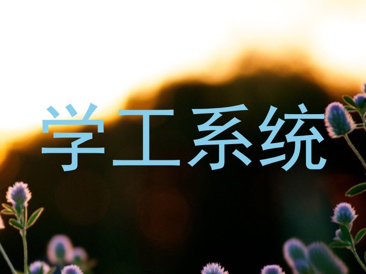 学工系统