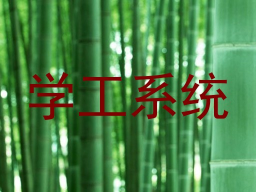 学工系统