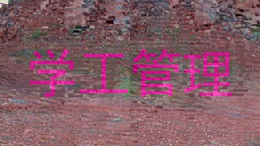 学工管理