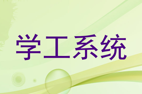 学工系统