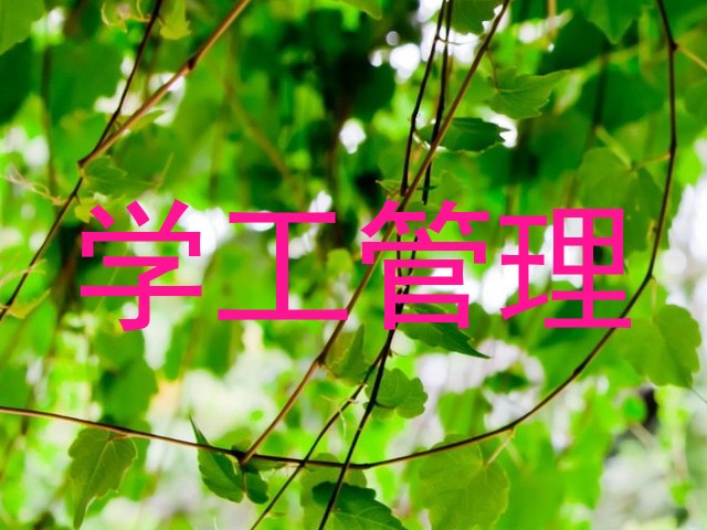学工管理