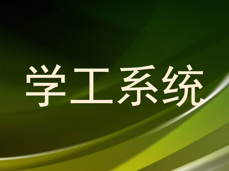 学工系统