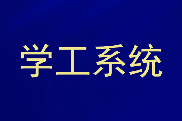 学工系统