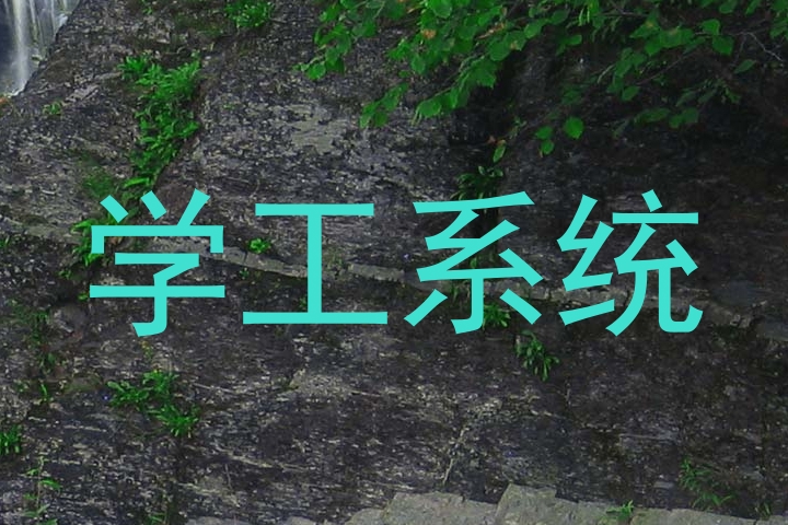 学工系统