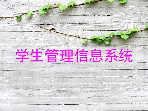 学生管理信息系统