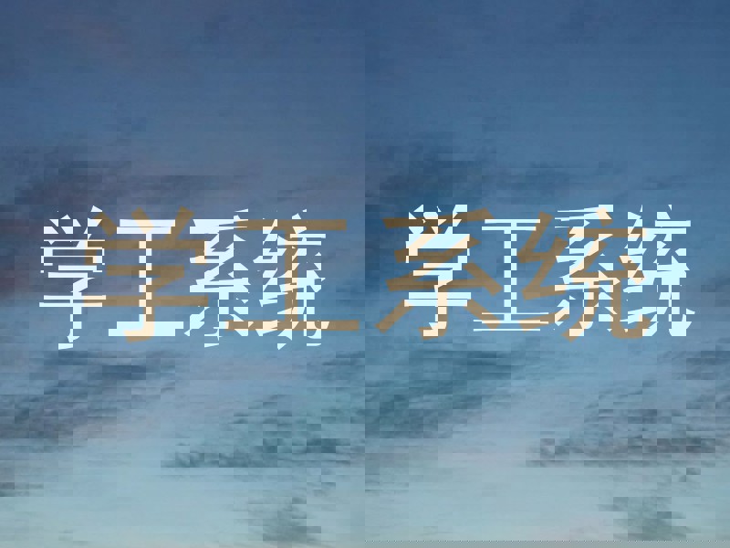 学工系统
