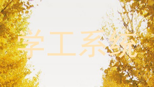 学工系统