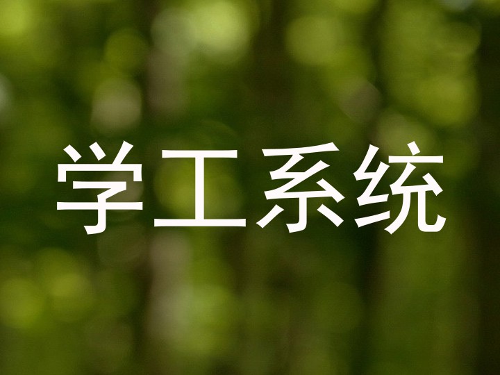 学工系统