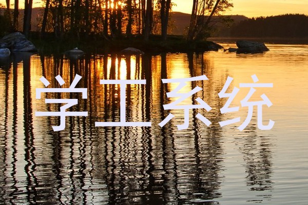 学工系统