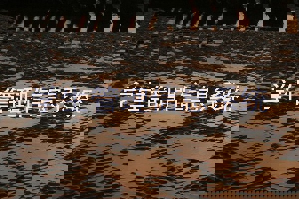 学生管理信息系统