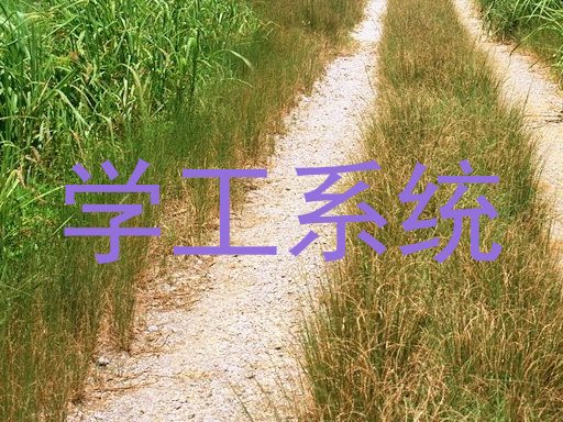 学工系统