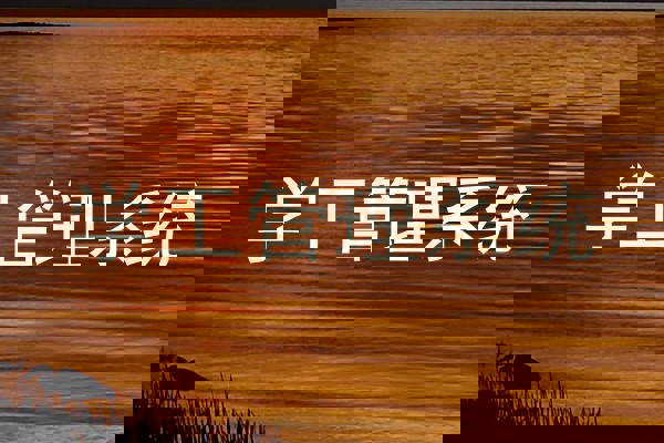 学工管理系统