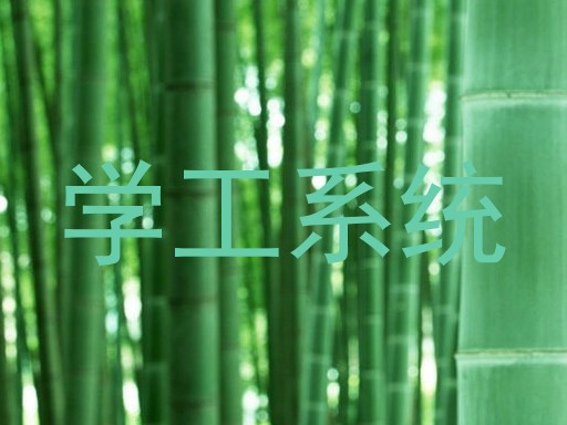 学工系统