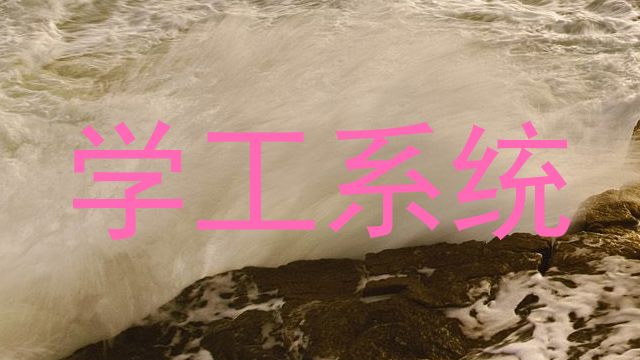 学工系统