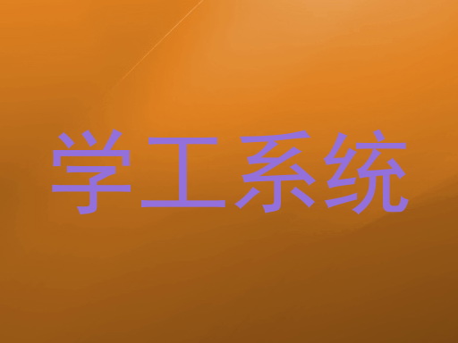 学工系统