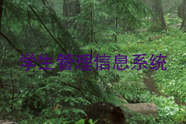 学生管理信息系统