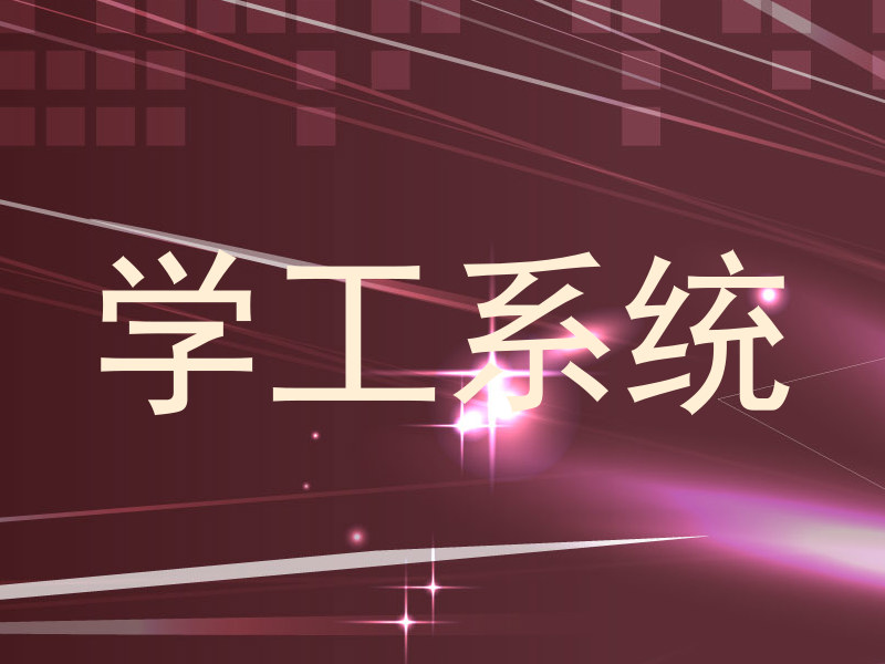 学工系统