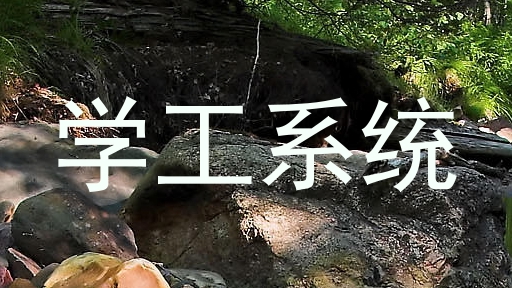 学工系统