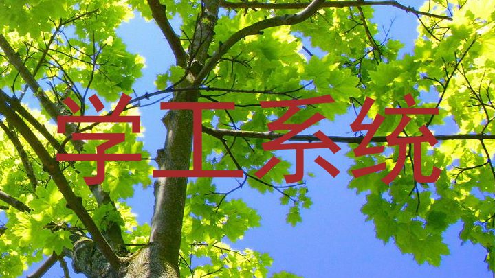 学工系统