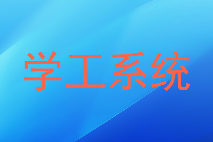学工系统