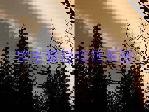 学生管理信息系统