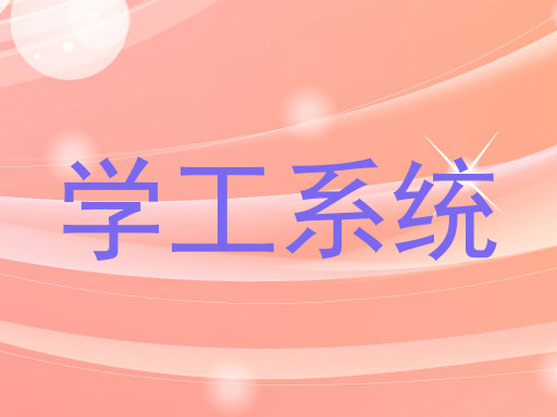 学工系统