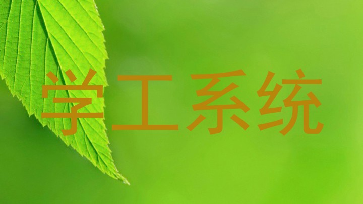 学工系统