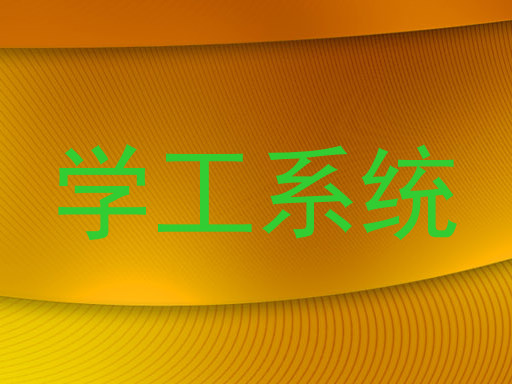 学工系统