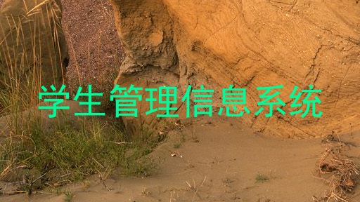 学生管理信息系统