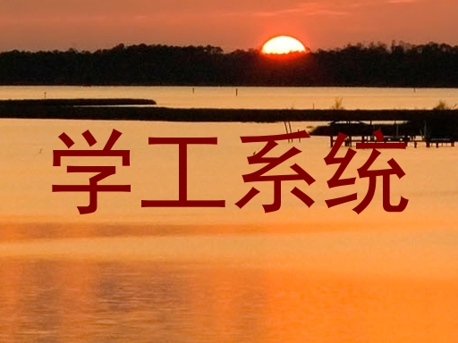学工系统