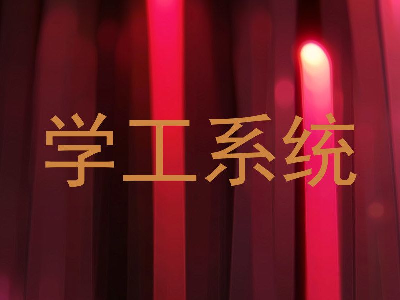 学工系统