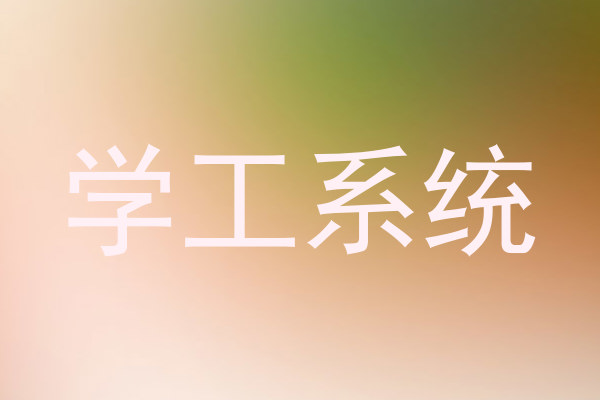 学工系统