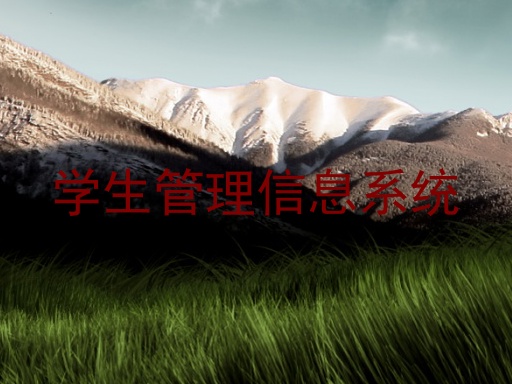 学生管理信息系统