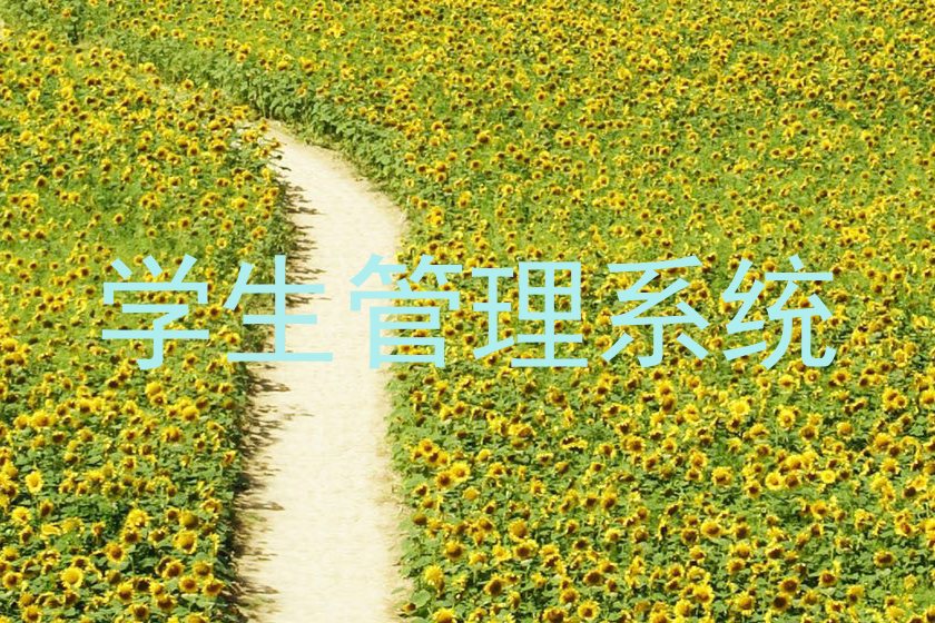 学生管理系统
