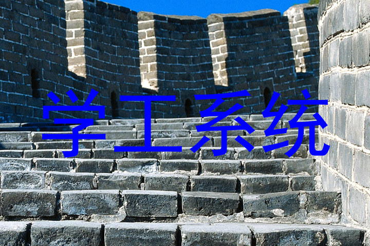 学工系统