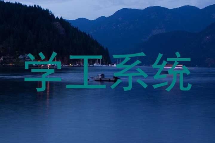 学工系统