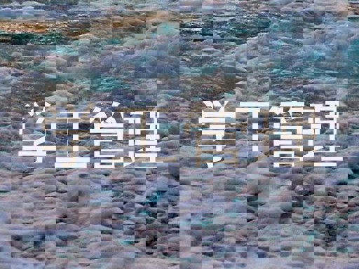 学工管理