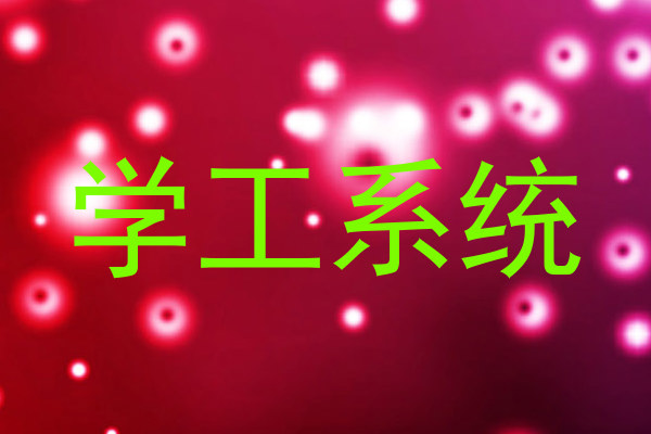 学工系统
