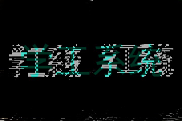 学工系统